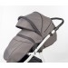 Коляска Esspero Discovery 2 в 1 (шасси Black)